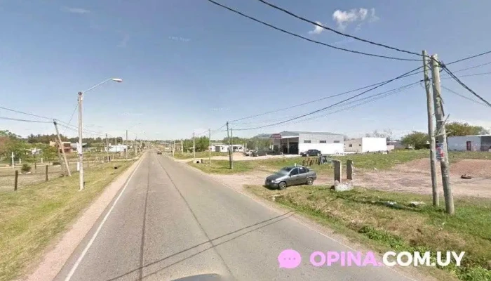 Nieves Bar - Sauce Nieves Bar - Sauce