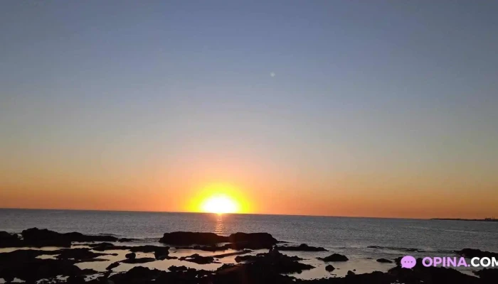 Noa Noa Mas Recientes - Montevideo