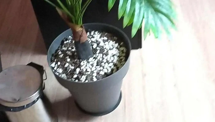 Noi Caffe Videos - Montevideo