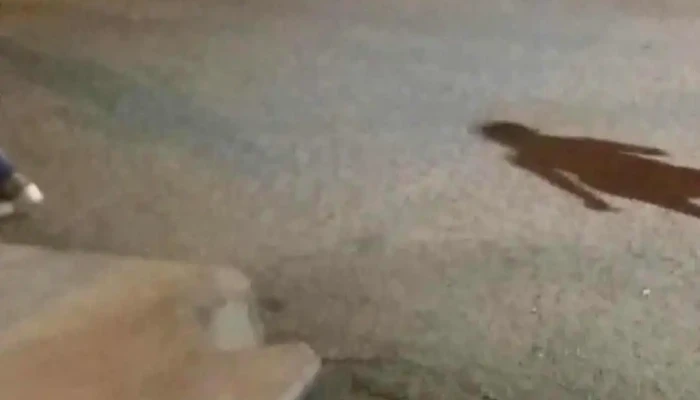 Nonyfer -  Videos - Guichón