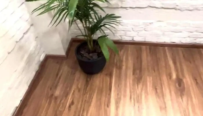 Nova 983 Fm Videos - Melo