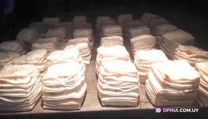 Novapan -  Videos - Juan L. Lacaze