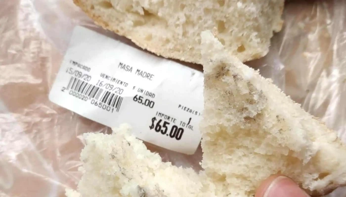 Nueva Malvin Comentario 2 - Montevideo