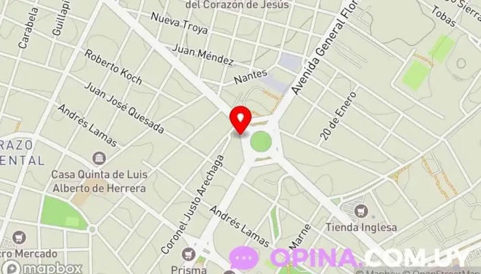 mapa de Nuevo Enfoque Agencia inmobiliaria en Montevideo