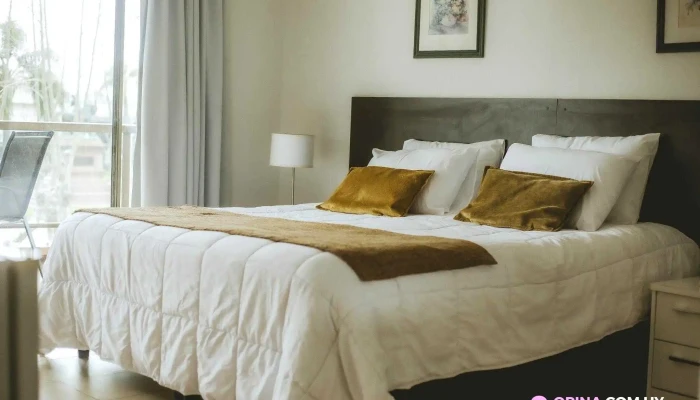 Nuevo Hotel Plaza -  Del Propietario - Minas