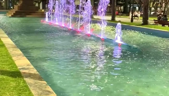 Nuevo Hotel Plaza -  Videos - Minas