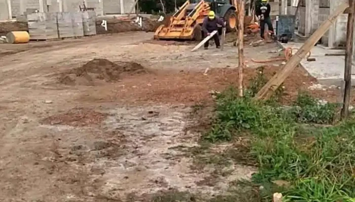 Nuevo Paris Videos - Montevideo