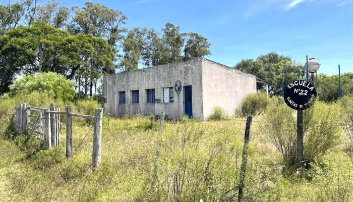 N°22 Punta de Tamanduá - Pintado Grande