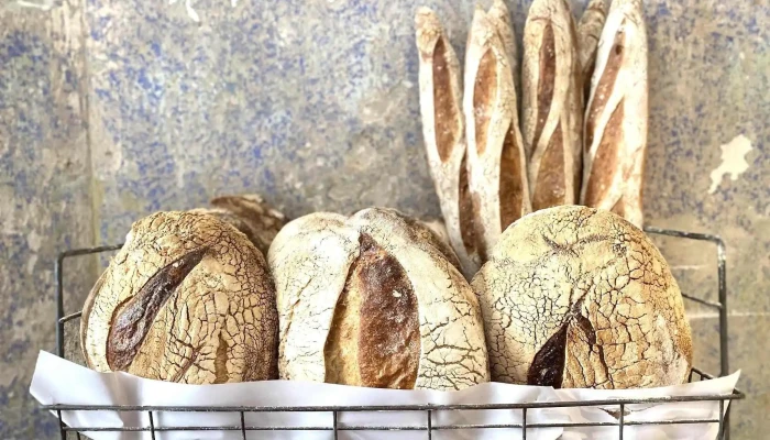 Obrador Social Club -  Masa Madre - Montevideo