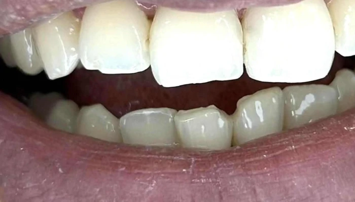 Odontologa Laura Rodriguez Numero - Melo