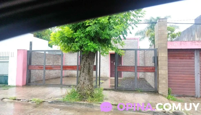 Odontoray Ubicacion - Pando