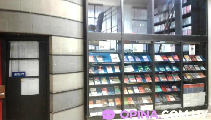 Oficina Del Libro Fefmur -  Interior - Montevideo