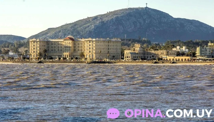 Olga Rivero Agente Inmobiliario -   Aldagroup Cerca De Mi - Piriápolis