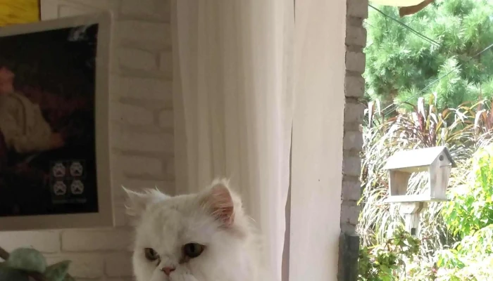 Oli Healthy Food -  Comentario 5 - Punta del Este