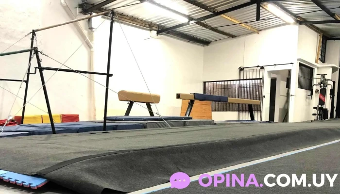 Olimpica Zona - Montevideo