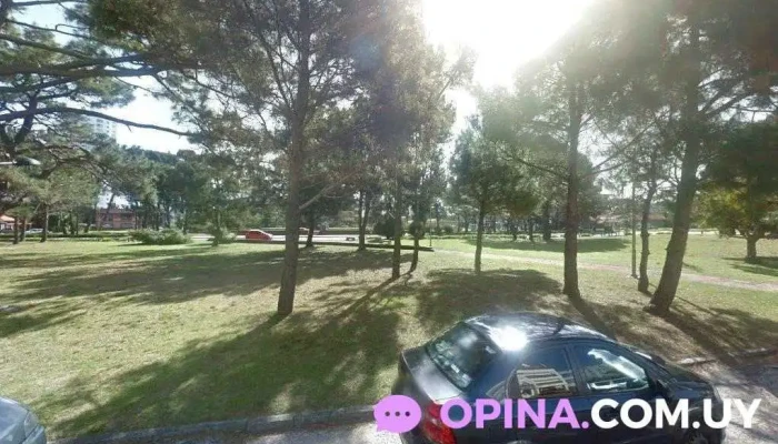 Olivera Inmuebles - Punta Del Este