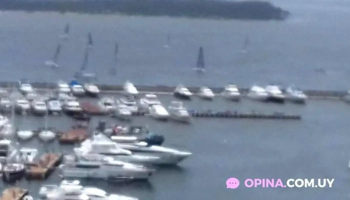 Olivia Resto Snack Bar Videos - Punta del Este