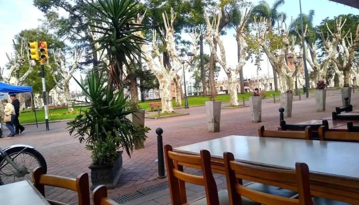 Ombu Ambiente - Minas