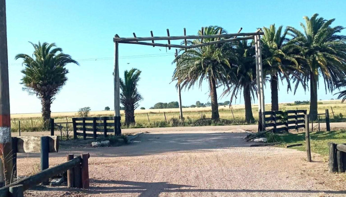 Ombues De Lavalle Todo - Ombúes de Lavalle