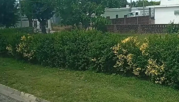 Ombues De Lavalle Videos - Ombúes de Lavalle