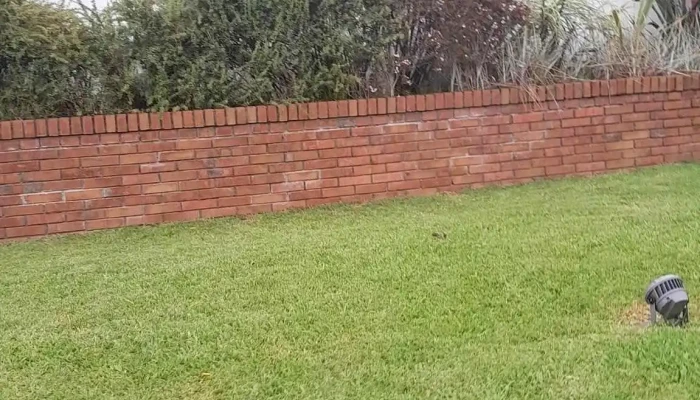 Oncosur -  Mas Recientes - Florida