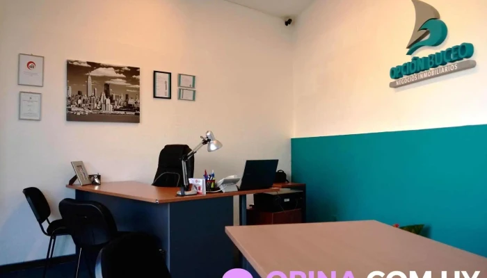 Opcion Buceo Negocios Inmobiliarios -  Interior - Montevideo