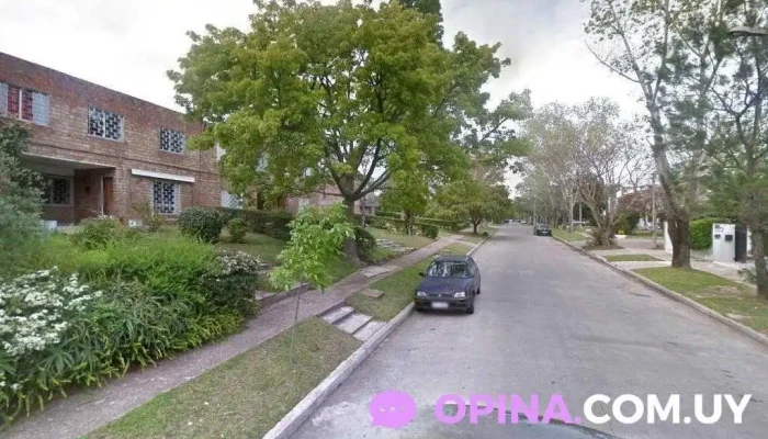 Organic Sister - 11400 Montevideo