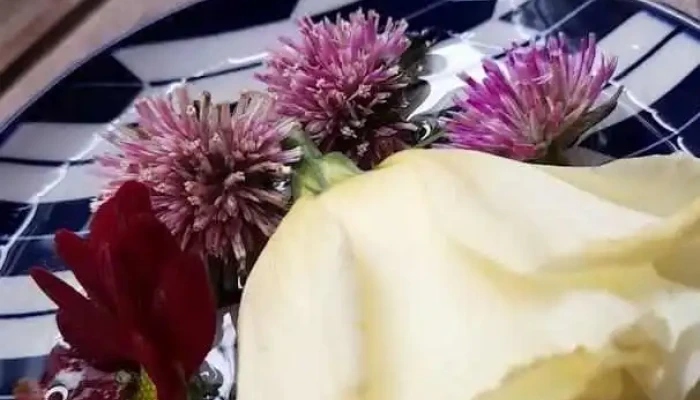 Oriundo Videos - Montevideo