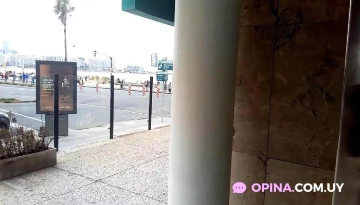 Oro Del Rhin Cafe Videos - Montevideo