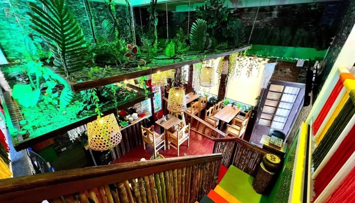 Oroverderestocafe Ambiente - Maldonado