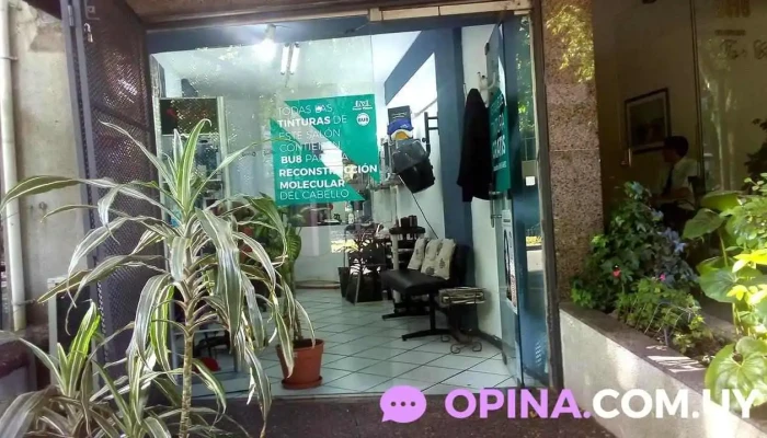 Oscar Pintos Peluqueros - 11300 Montevideo