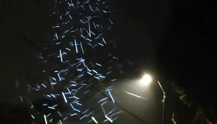 Ose Quebracho Videos - Quebracho