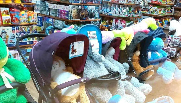 Ositos Cia Direccion - Montevideo