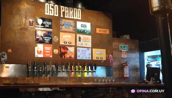 Oso Pardo -  Ambiente - Montevideo