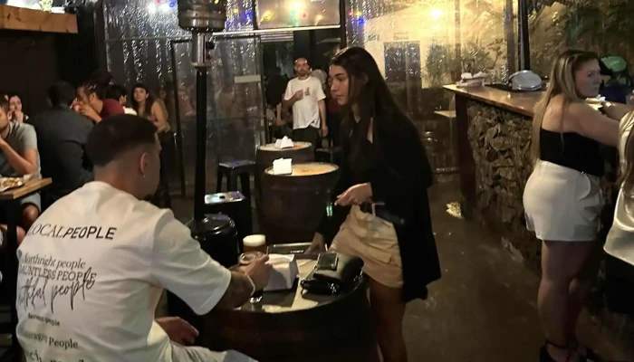 Oso Pardo -  Comentario 4 - Montevideo