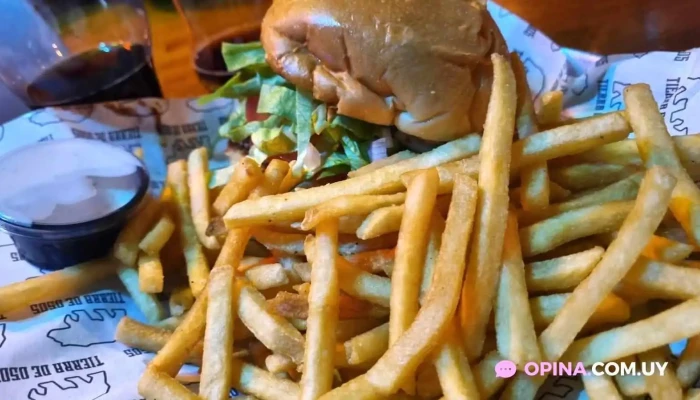 Oso Pardo -  Recientes - Montevideo