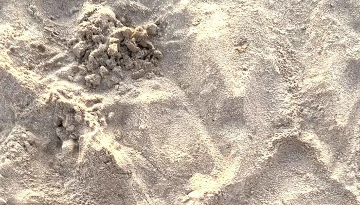 Ovo Beach -  Comentario 6 - Punta del Este