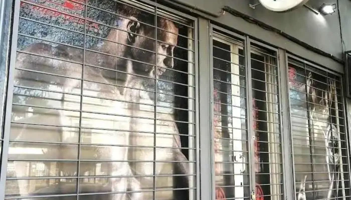 Oxigenarte - Montevideo