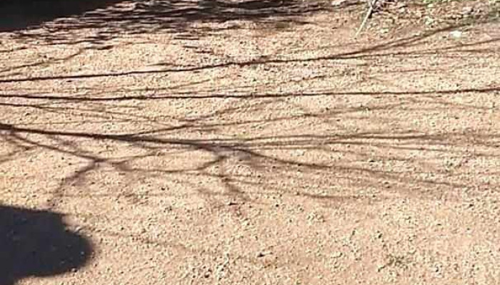 Pablon Fest - Empalme Olmos Pablon Fest - Empalme Olmos