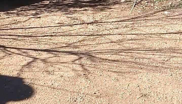 Pablon Fest -  Todo - Empalme Olmos