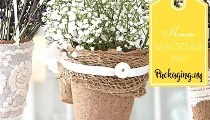 Packaginguy Del Propietario - Montevideo