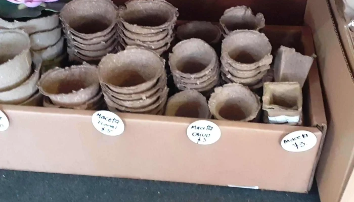 Packaginguy Sitio Web - Montevideo