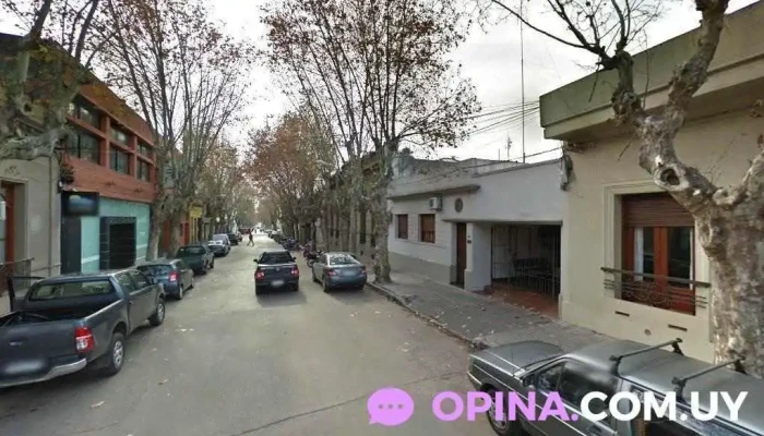 padron 1027 - Durazno