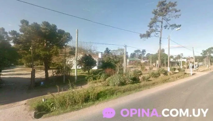 Paladino Propiedades - Ciudad De La Costa