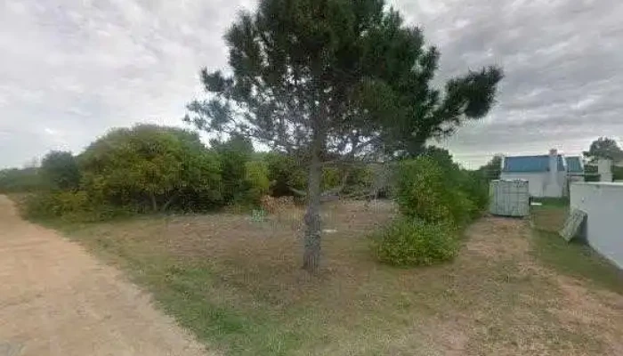 Palafitos -  Todas - La Juanita