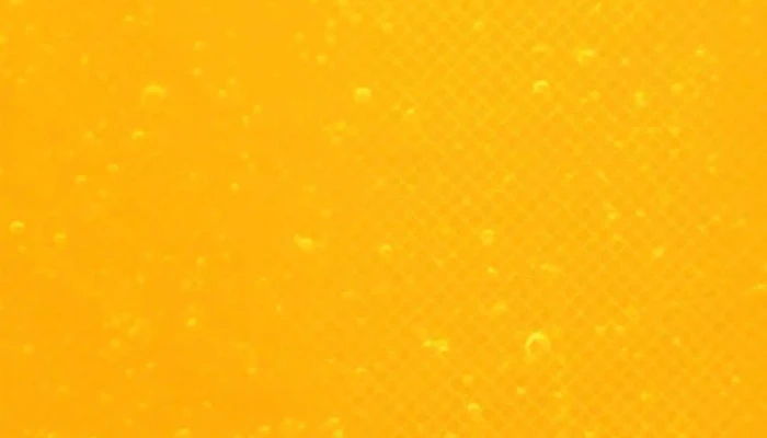 Paletas Oddy -  Del Propietario - Maldonado