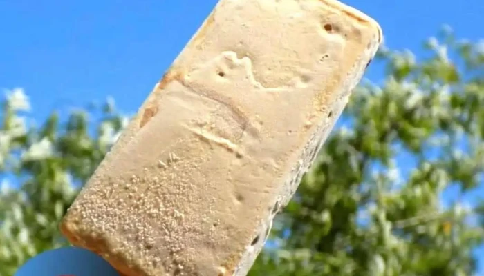 Paletas Oddy -  Helado - Maldonado