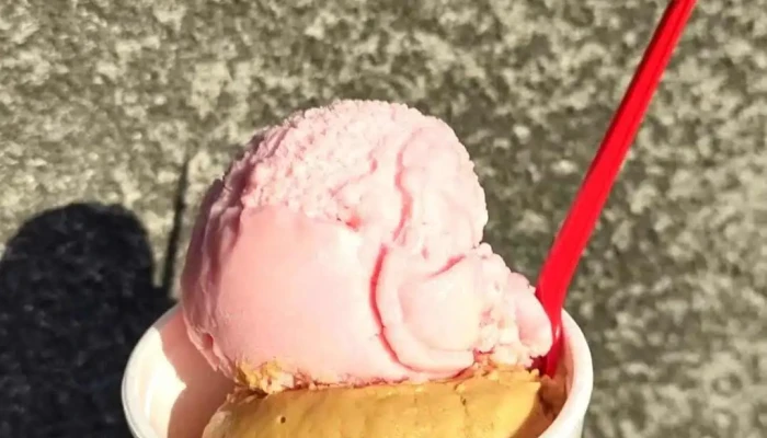 Paletas Oddy -  Todo - Maldonado