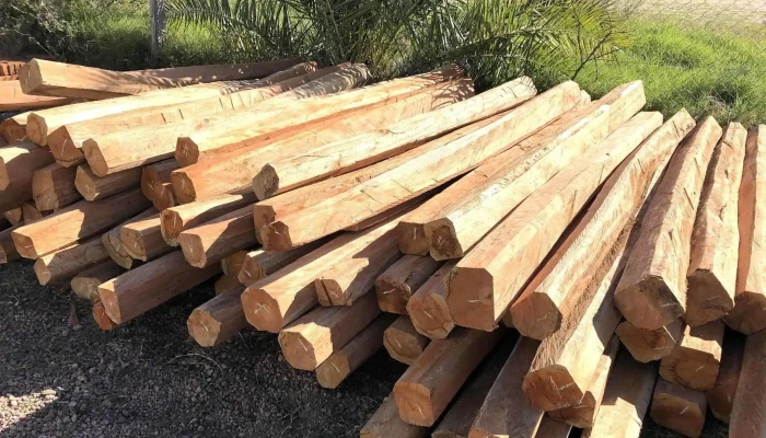 Palmares Barraca Veterinaria Clinica Del Propietario - Los Cerrillos