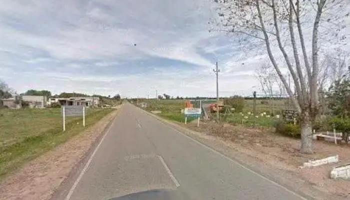 Palmares Barraca Veterinaria Clinica Preciosdeg - Los Cerrillos